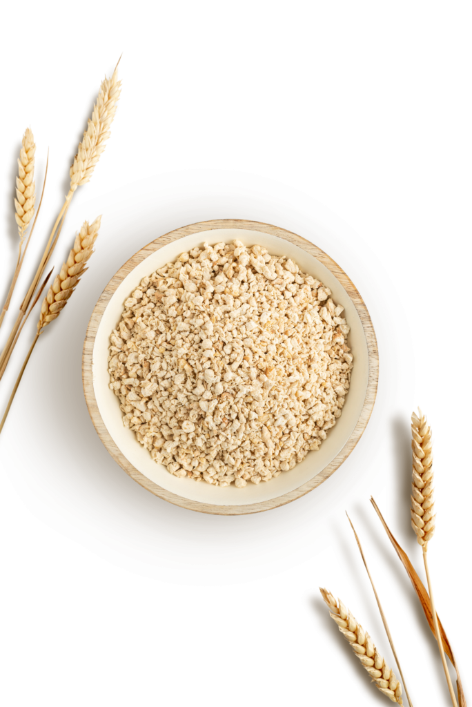 Vegetable protein concentrate “Protelon” soy