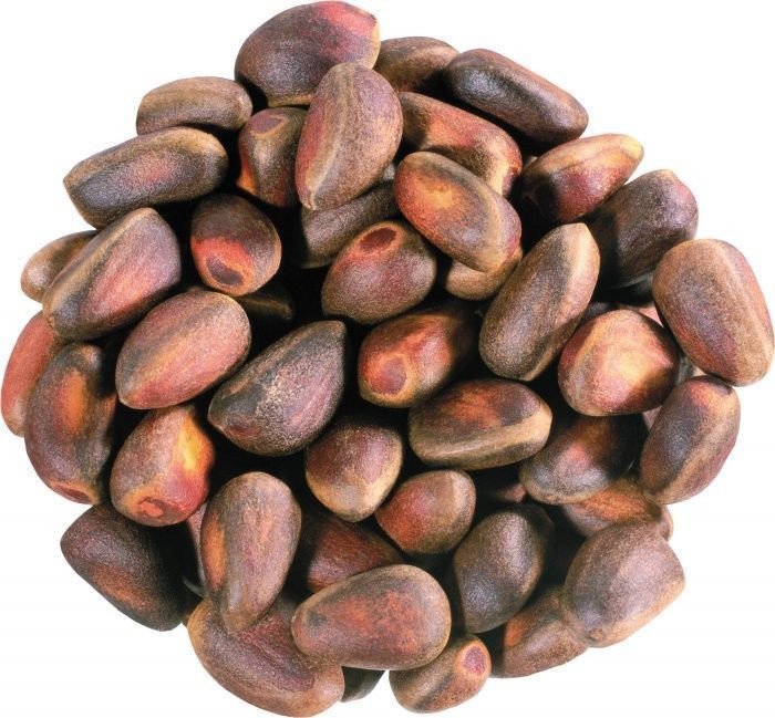 Pine nuts in shell