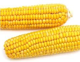 Frozen corn on the cob