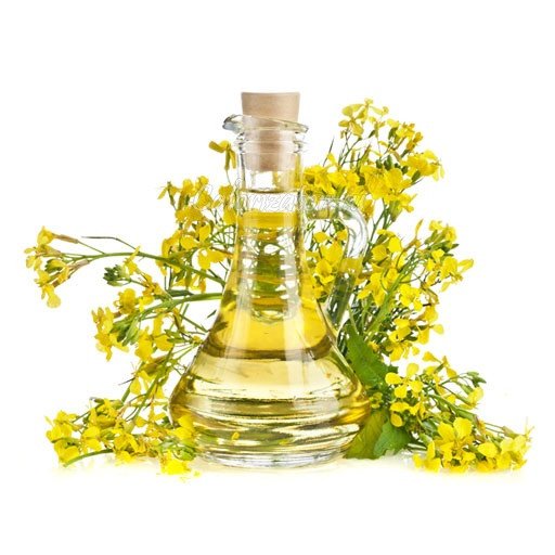 Refined deodorized high oleic rapeseed oil